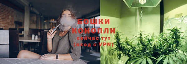 сатива Алзамай