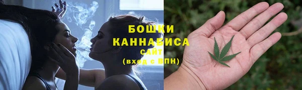 прущие грибы Абдулино