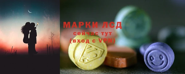прущий лед Инсар