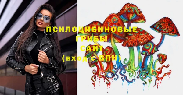 прущие грибы Абдулино