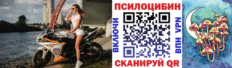 Псилоцибиновые грибы Psilocybe  Ува 